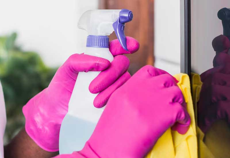 domestic cleaning
